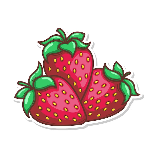 hand draw strawberry fruit illustration art