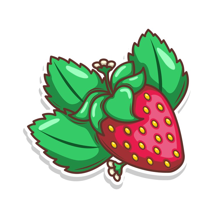 वेक्टर hand draw strawberry fruit illustration art