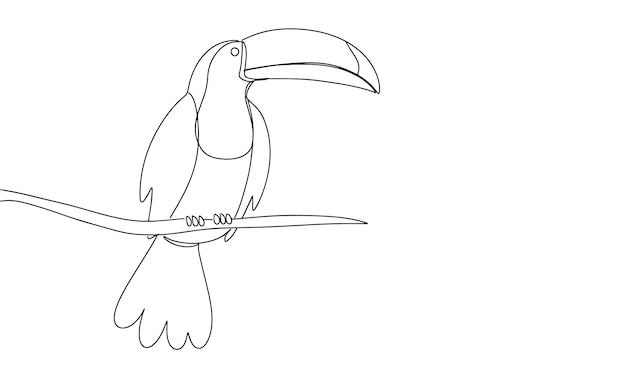 Hand draw toucan sits on a branch. Line art one continues. Vector illustration.