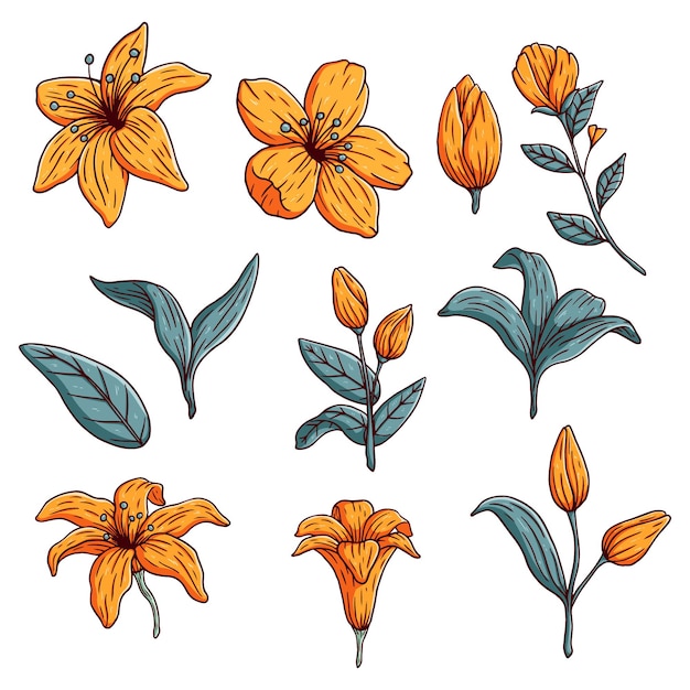 Disegnare a mano collezione di fiori gialli con foglie