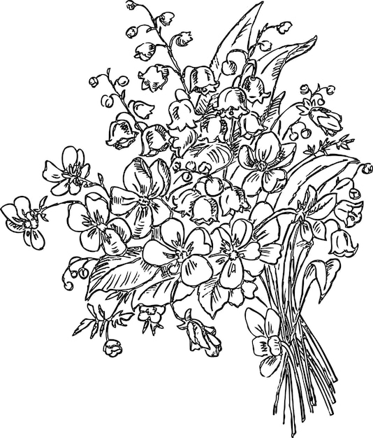 Vector hand drawing of a bouquet of spring flowers