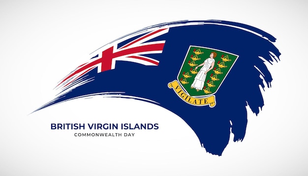 Hand drawing brush stroke flag of British Virgin Islands with painting effect vector illustration