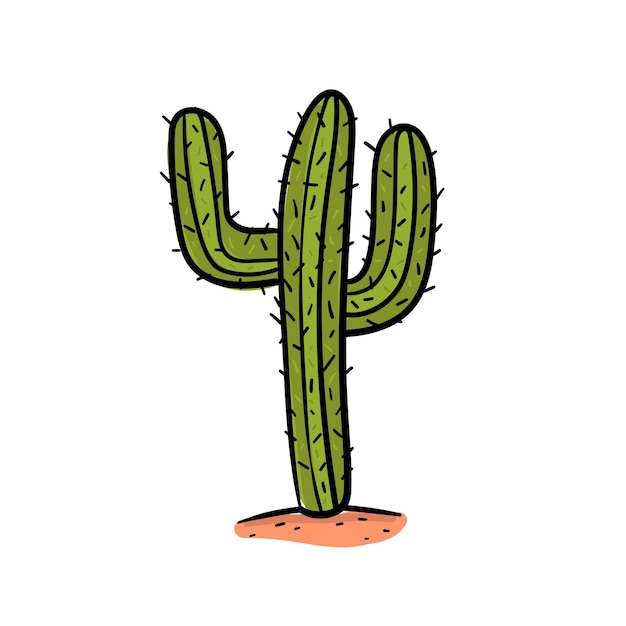 Hand drawing cactus in desert vector.