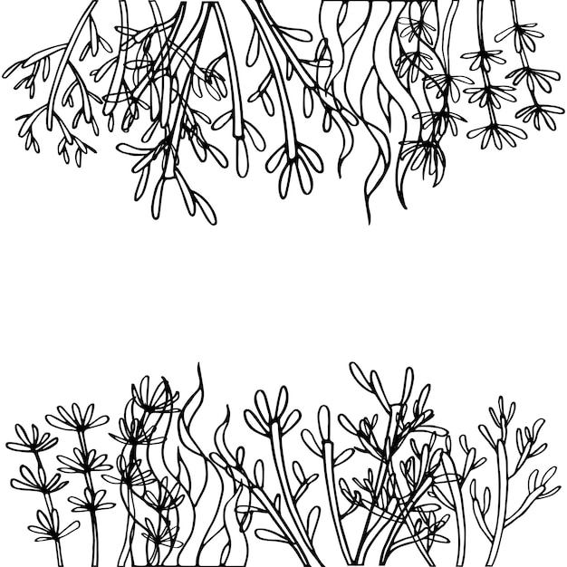 Ручной рисунок декоративной иллюстрации морских растений, рисунок фона и вектор границы fframe