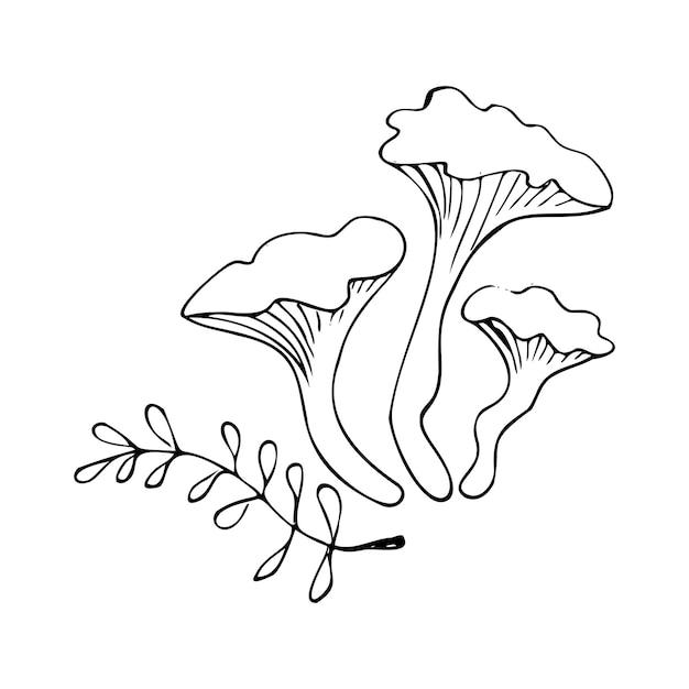 Ручной рисунок лесных диких грибов может быть использован для оформления меню, этикетки, значка, рецепта, упаковки