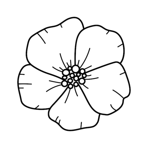 Fiore di papavero di disegno a mano linea arte per invito biglietto di auguri schizzo floreale botanico splendido elemento floreale