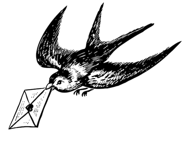 Hand drawing of one cute swallow bird flying and carrying envelope with love letter in beak