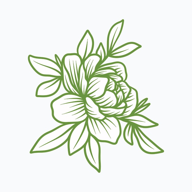 Fiore di peonia disegno a mano