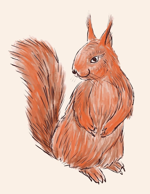 Hand drawing of red fluffy forest squirrel