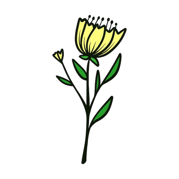 手描きバラの花のベクトルイラスト