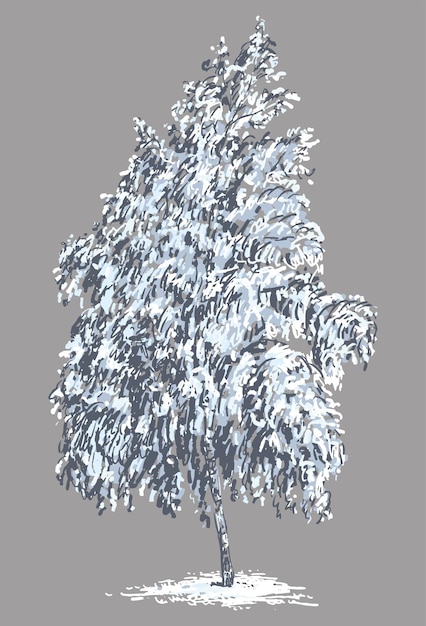hand drawing of single frozen birch tree under snow in december