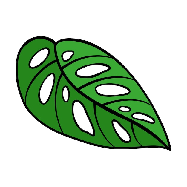 Ручной рисунок векторная иллюстрация тропический логотип лист листья цветок цветочный мостера тропический элемент