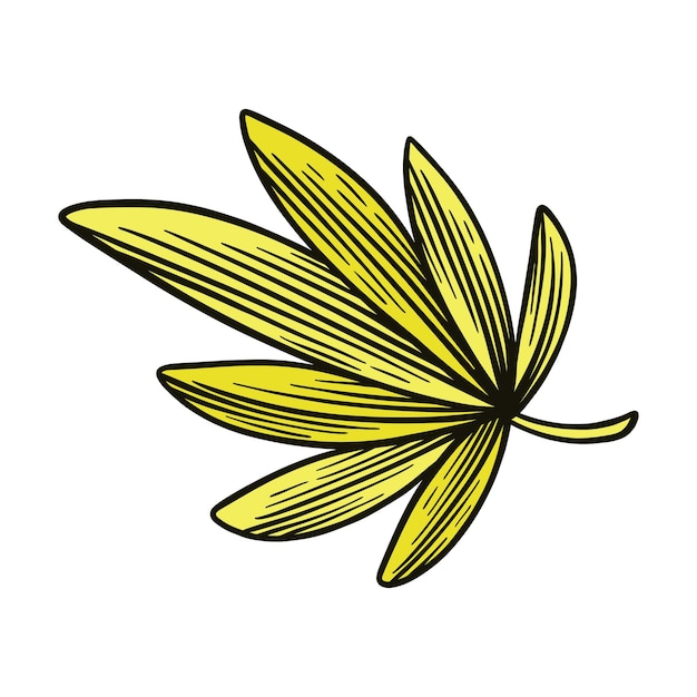 Ручной рисунок векторная иллюстрация Тропический логотип лист листья цветок цветочный Мостера тропический элемент