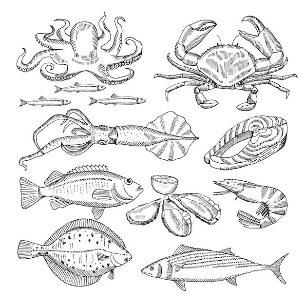 Passi le illustrazioni di vettore del disegno dei frutti di mare per il menu del ristorante