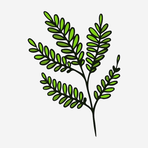 Hand Drawing Vector Tropical Leaf Illustration