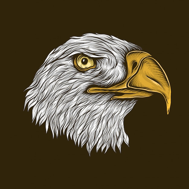 Hand drawing vintage bald eagle head illustration