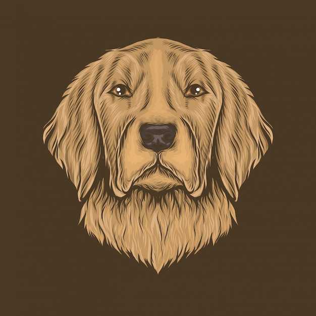 Vettore illustrazione d'annata di vettore della testa del golden retriever del disegno della mano