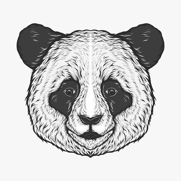 Hand drawing vintage panda head vector illustration