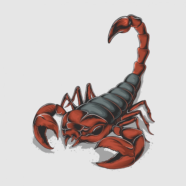 Hand drawing vintage scorpion  illustration