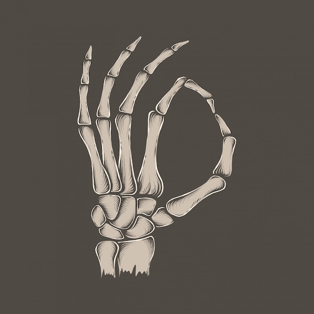 Vector hand drawing vintage skeleton ok hand vector illustration