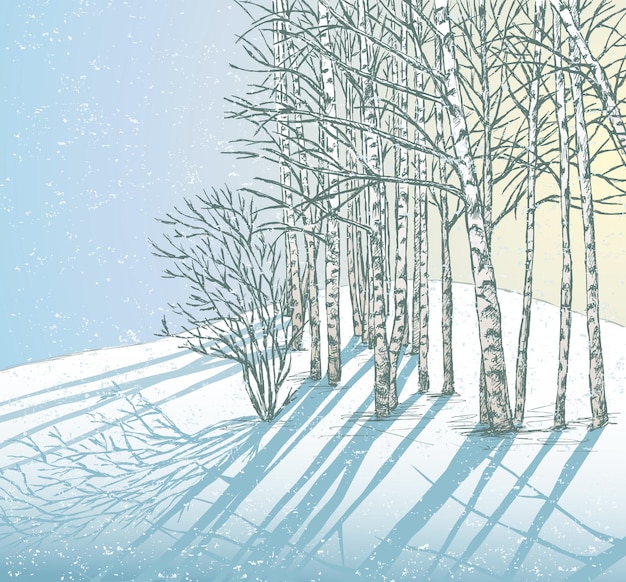 晴れた凍るような冬の日に白樺の木と冬の風景の手描き