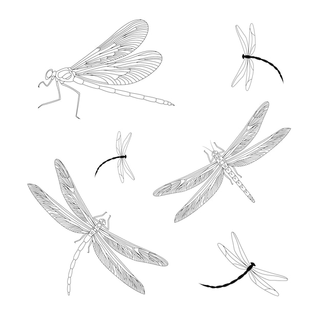 손 그리기 잠자리 세트 흑백 라인 아트 벡터 일러스트와 함께