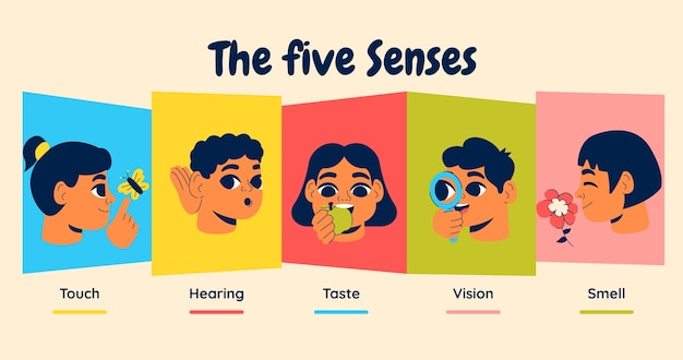 Hand drawn 5 senses illustration