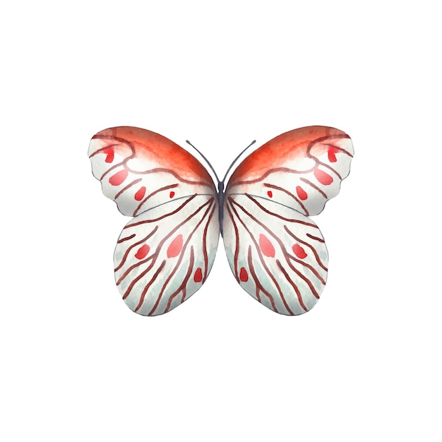 Hand drawn abstract butterfly in red tones