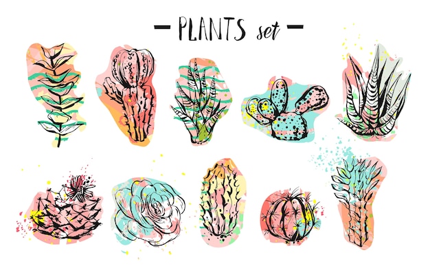 Collezione di piante, cactus e succulente creativo grafico astratto disegnato a mano