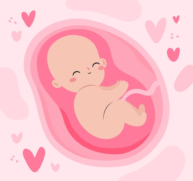 Vector hand drawn adorable fetus illustration