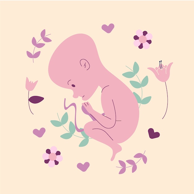 Vector hand drawn adorable fetus illustration