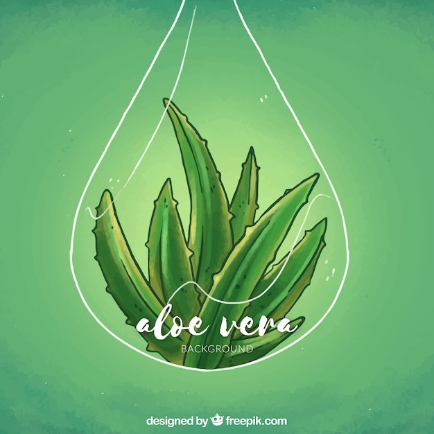 Hand drawn aloe vera green background