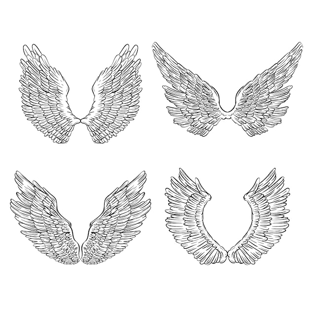 手で描かれた天使の翼の概要イラスト
