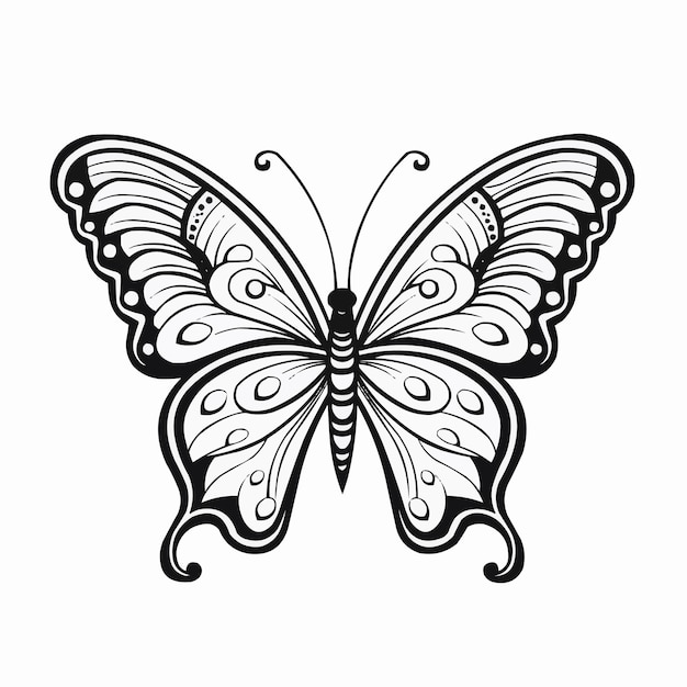 Vector hand drawn animal mandala illustration coloring book or page for kids butterfly black and white