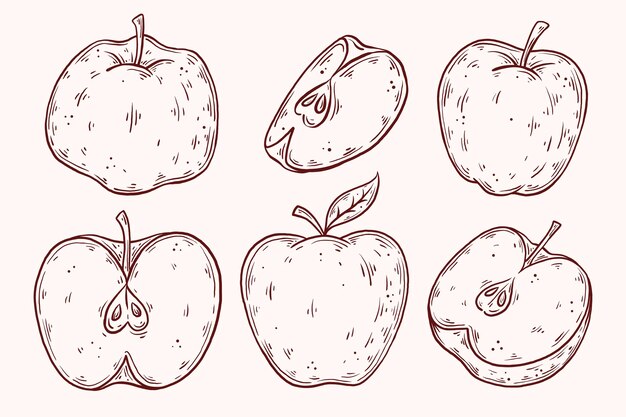 Vector hand drawn apple collection