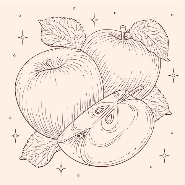 Hand drawn apple drawing illustration