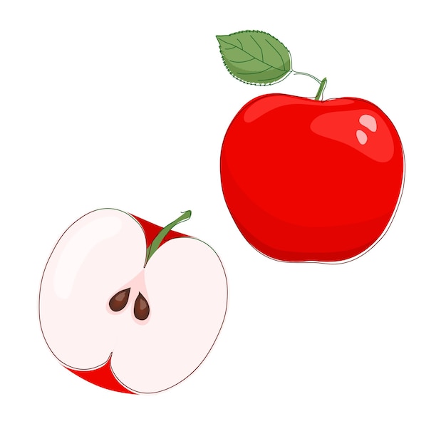 Hand drawn apple fruit in flat design