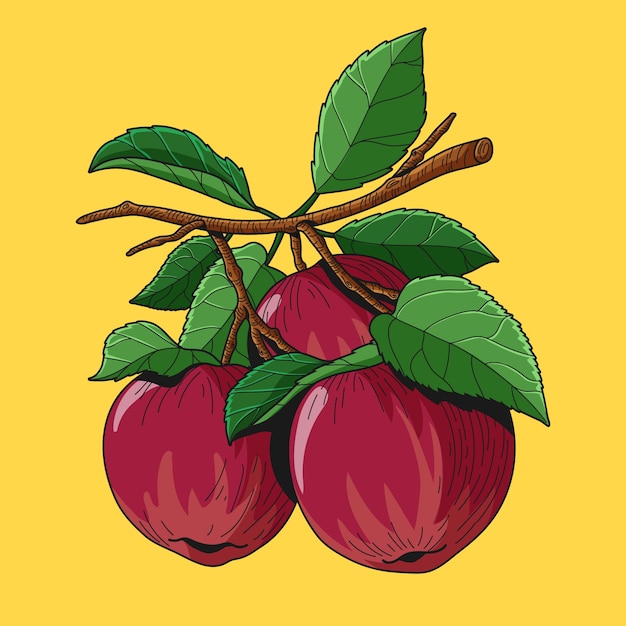 Vector hand drawn apple illustration