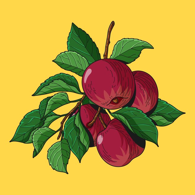 Vector hand drawn apple illustration