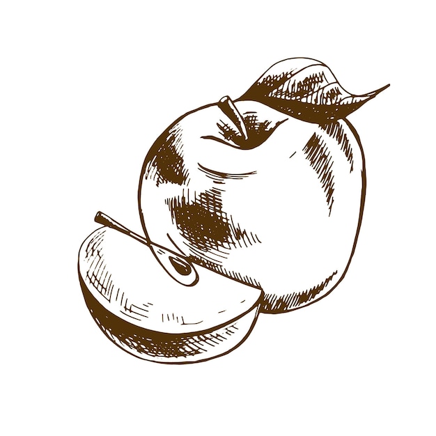 Hand drawn apples Illustration Retro style image