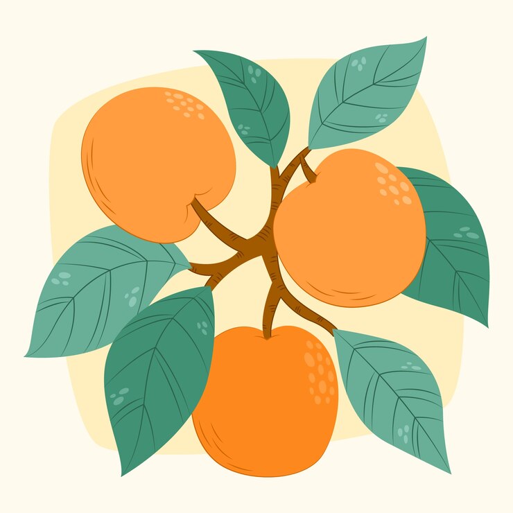 Vector 손으로 그린 사탕수수 일러스트레이션