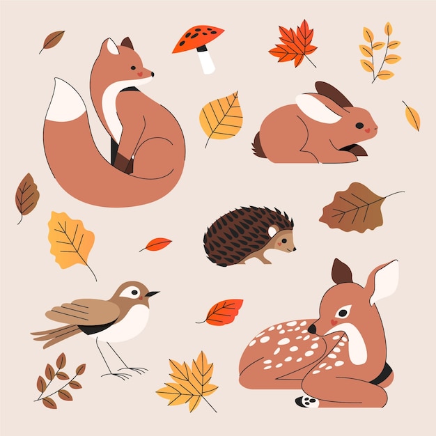 Vector hand drawn autumn animals collection