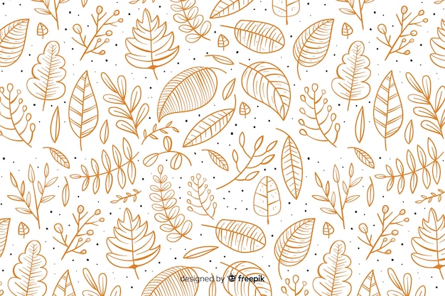 Vector hand drawn autumn background with leaves