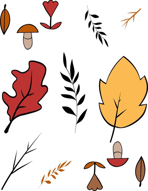 Vector hand drawn autumn elements illustration