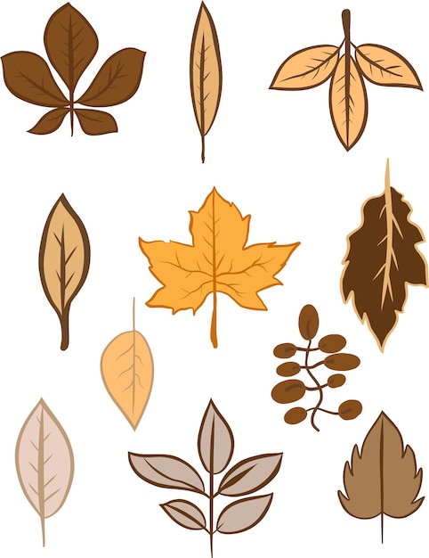 Vector hand drawn autumn elements illustration