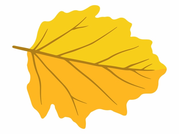 Vettore illustrazione disegnata a mano delle foglie d'autunno