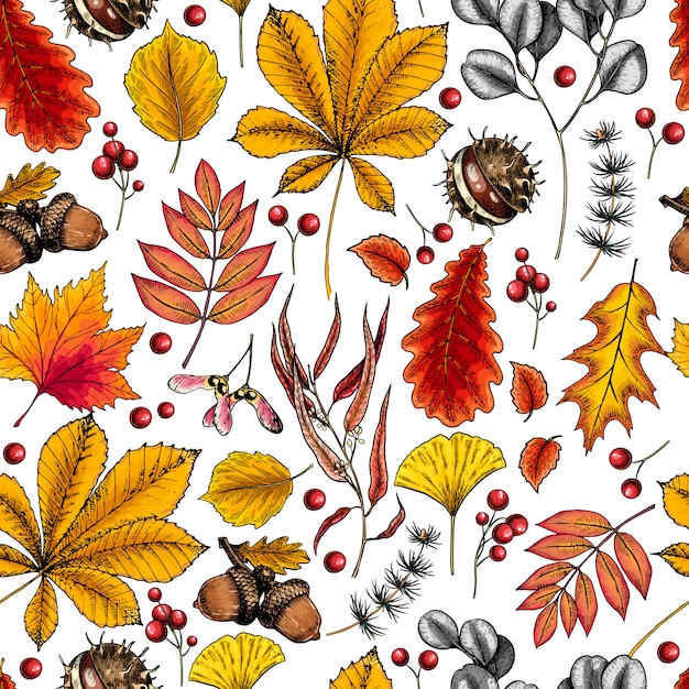 Hand drawn autumn leaf. vector seamless pattern of tree leaves.