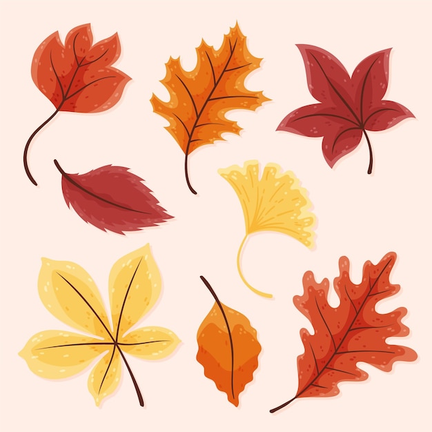 Vector hand drawn autumn leaves collection