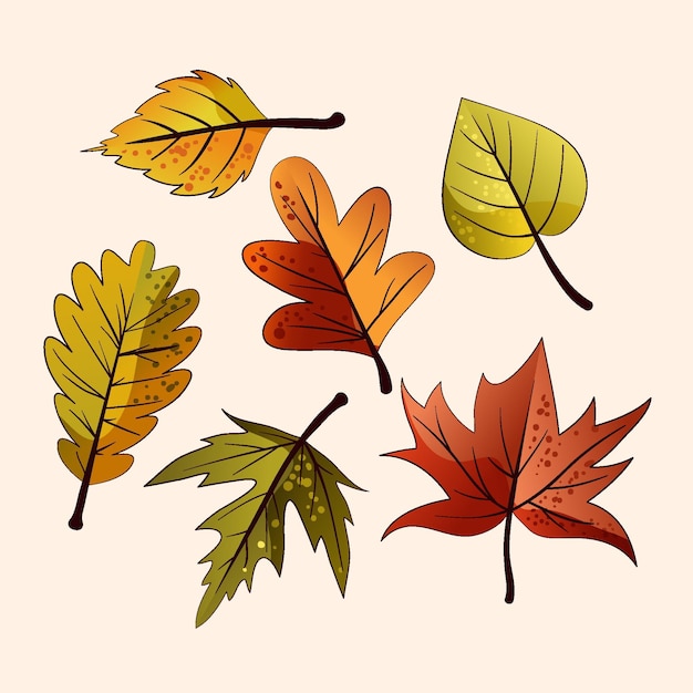 Vector hand drawn autumn leaves set