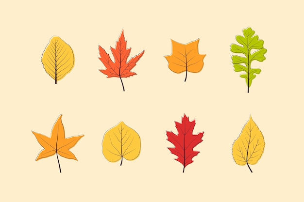 Hand drawn autumn leaves vector illustration collection